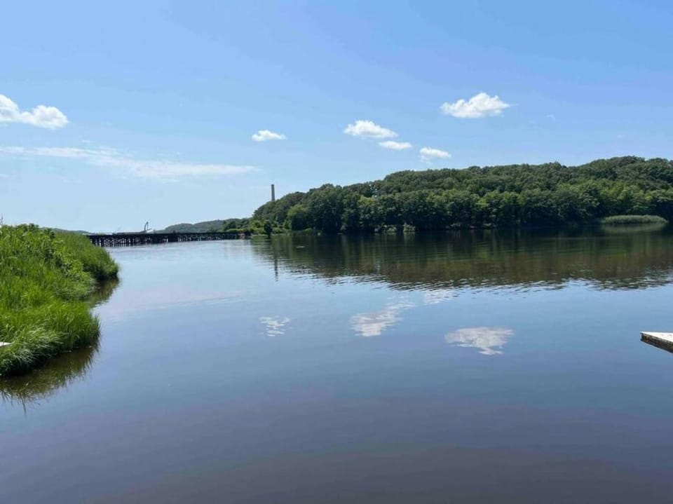 Day, Fishing, River view