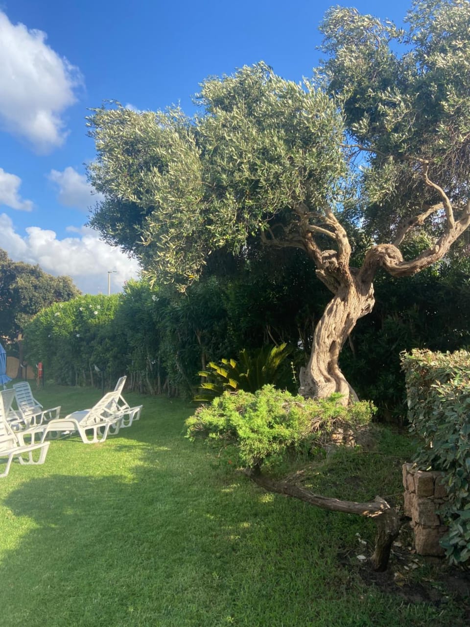 Casa Giovanna Apartment hotel in Santa Teresa Gallura