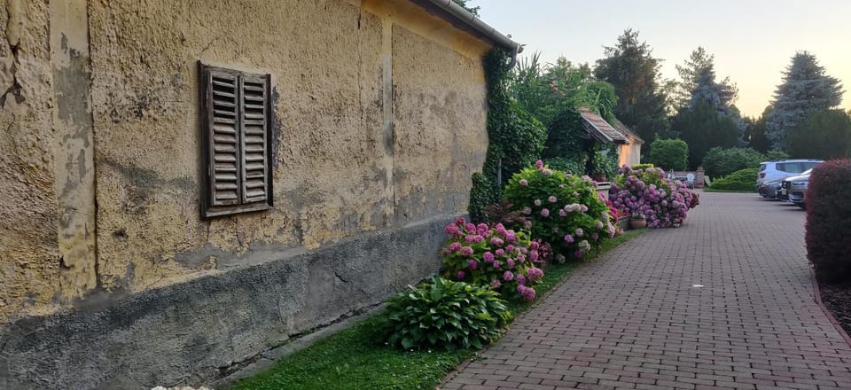 Korona Panzió Bed and Breakfast in Hungary