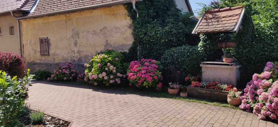 Korona Panzió Bed and Breakfast in Hungary