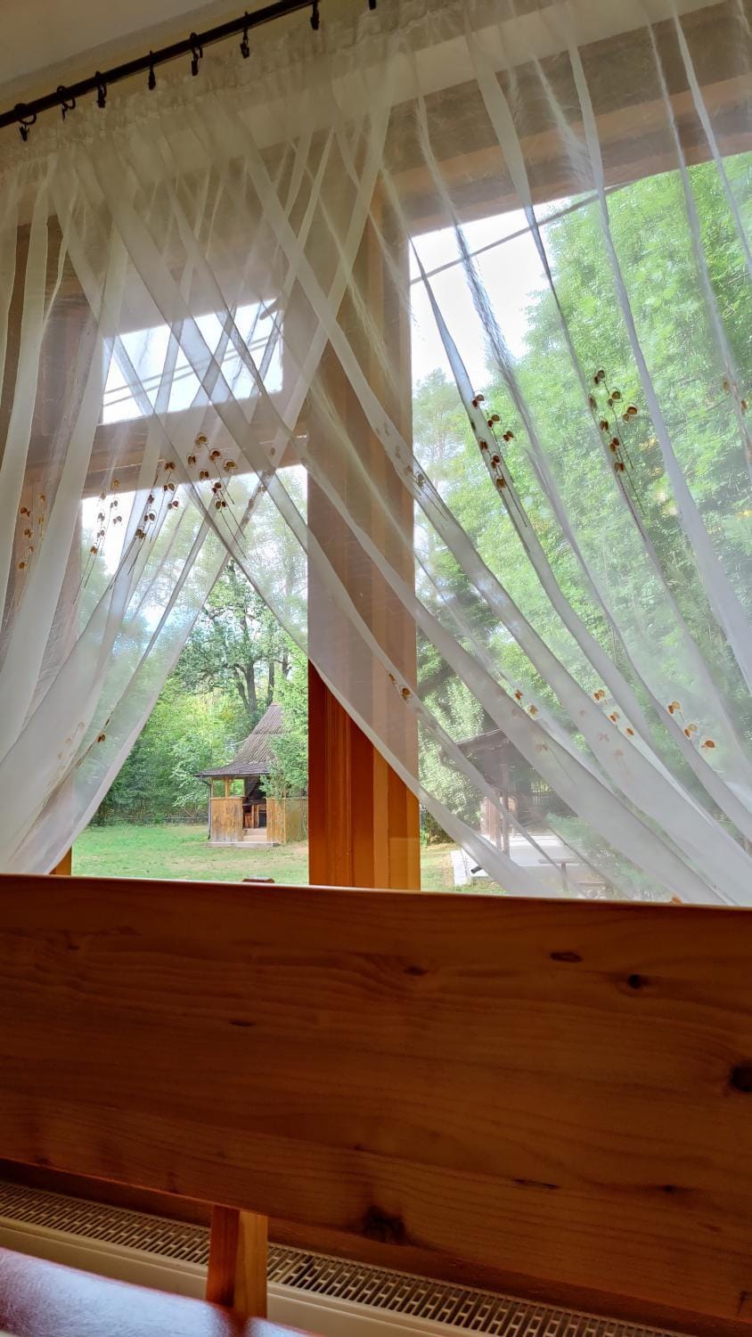 Spring, Day, Natural landscape, Garden view