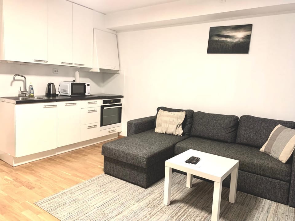 Coffee/tea facilities, Kitchen or kitchenette, Living room, oven, stove