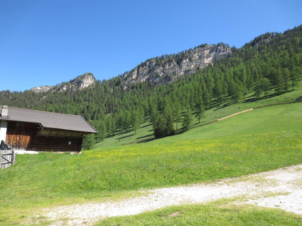 Natural landscape