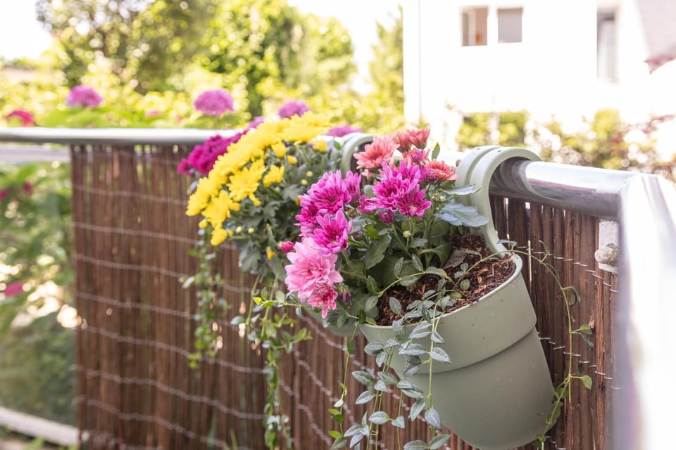 Spring, Balcony/Terrace