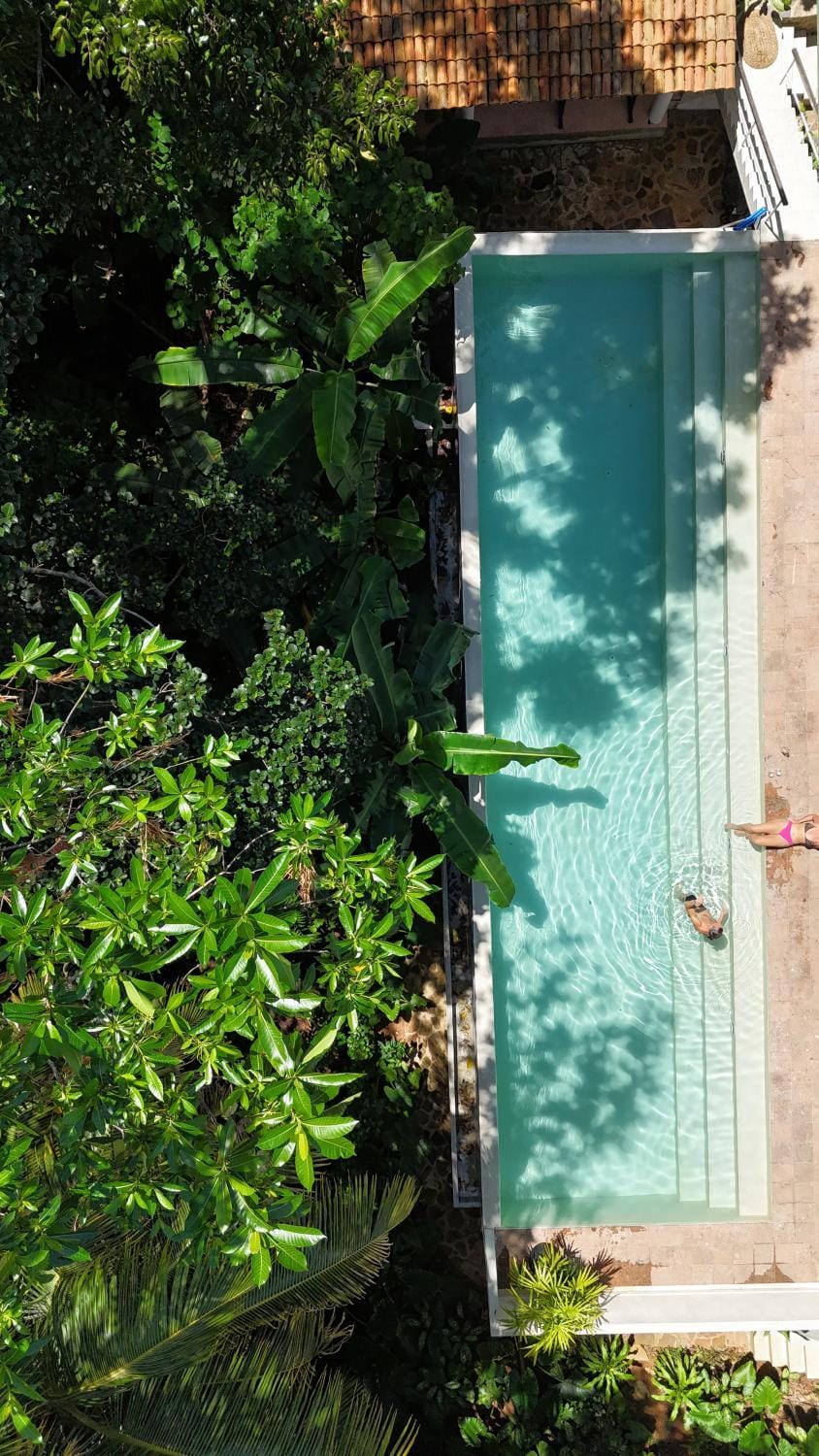 Garden, Garden view, Swimming pool