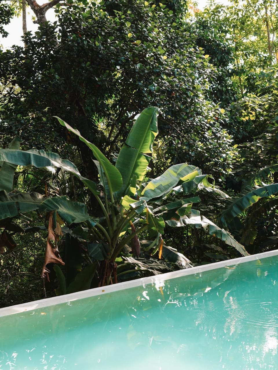 Luxury Villa in Jungle Setting with Infinity Pool and Firepit Villa in Ahangama