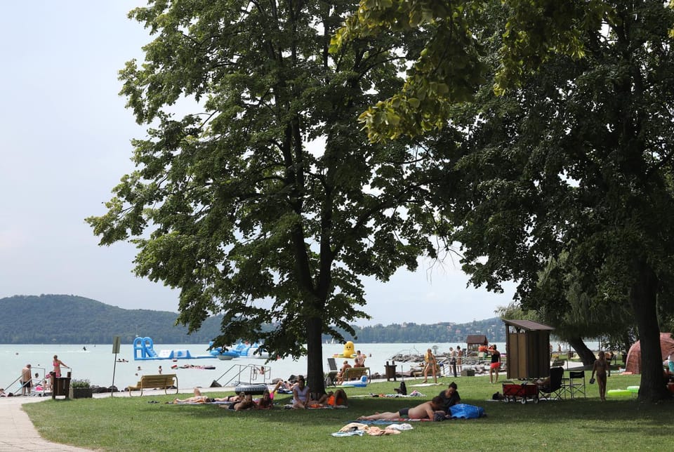 Lake view
