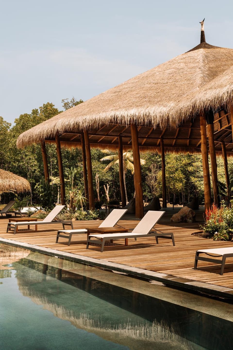 Natural landscape, Garden, Garden view, Pool view