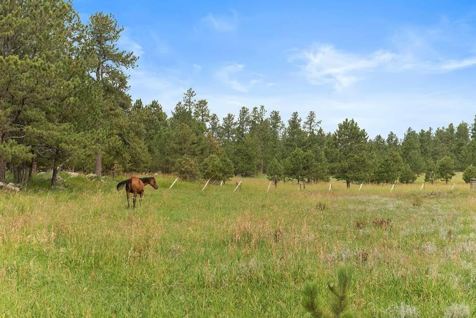 Day, Natural landscape, Animals