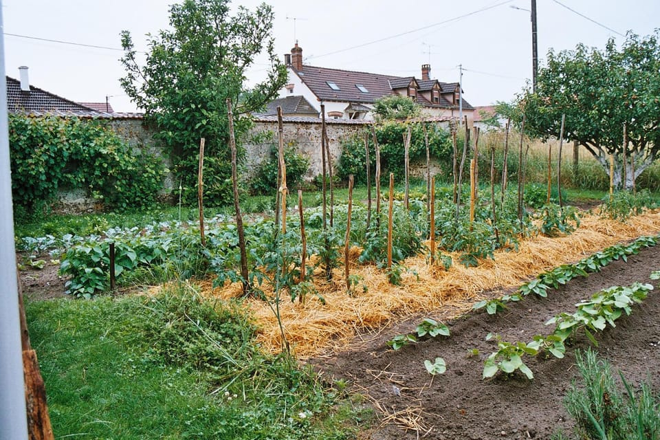 Garden, Garden view