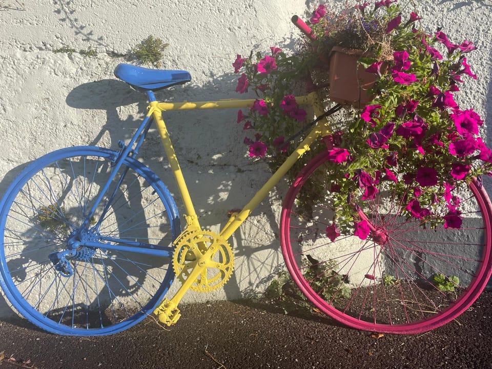 Bru Na Pairc B&B Bed and Breakfast in County Cork