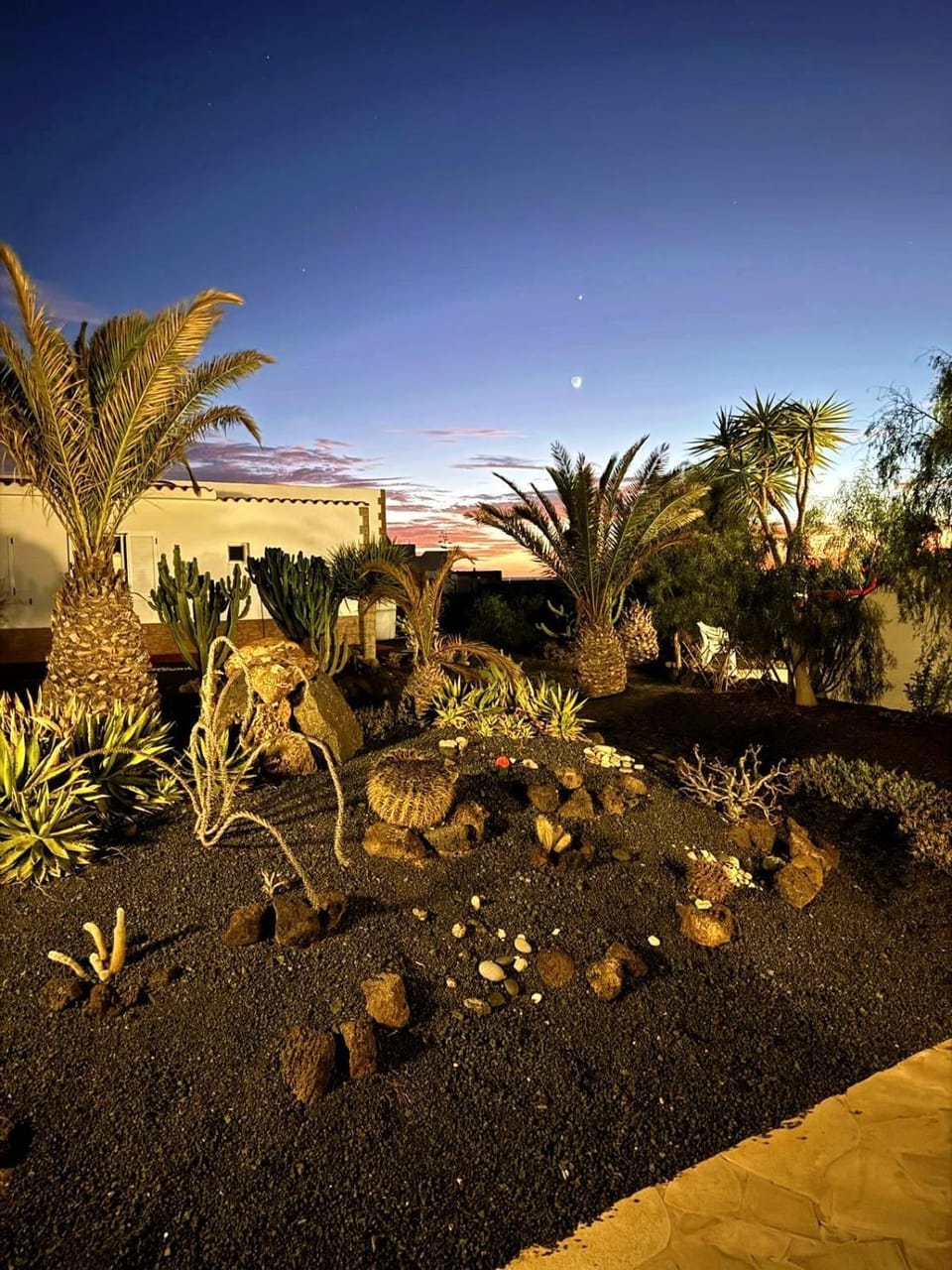 Garden, Sunset