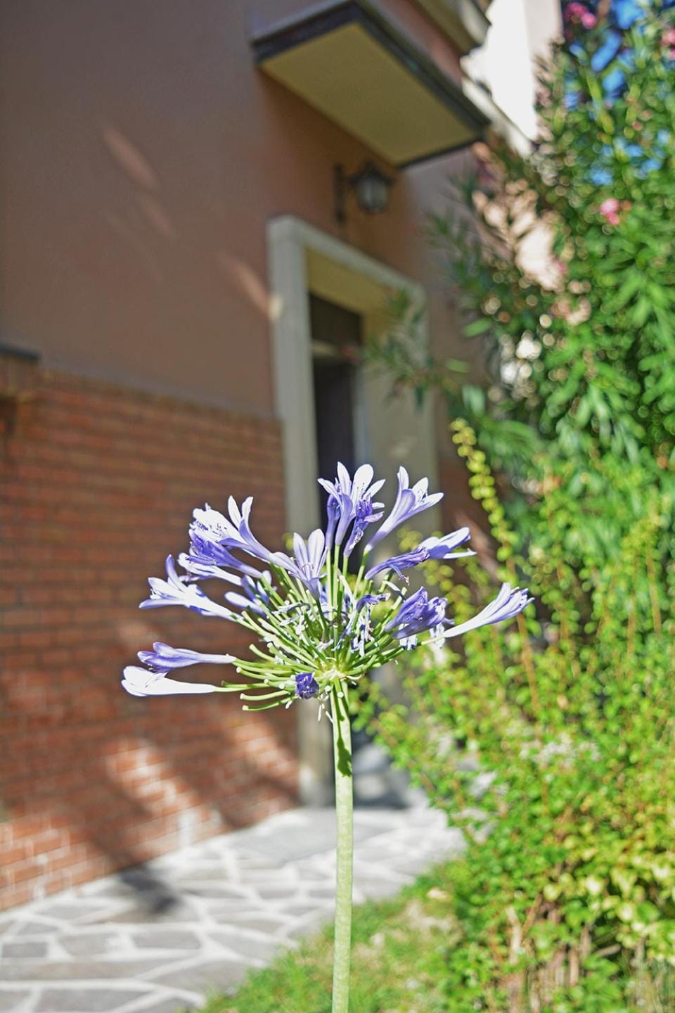 Garden, Garden view