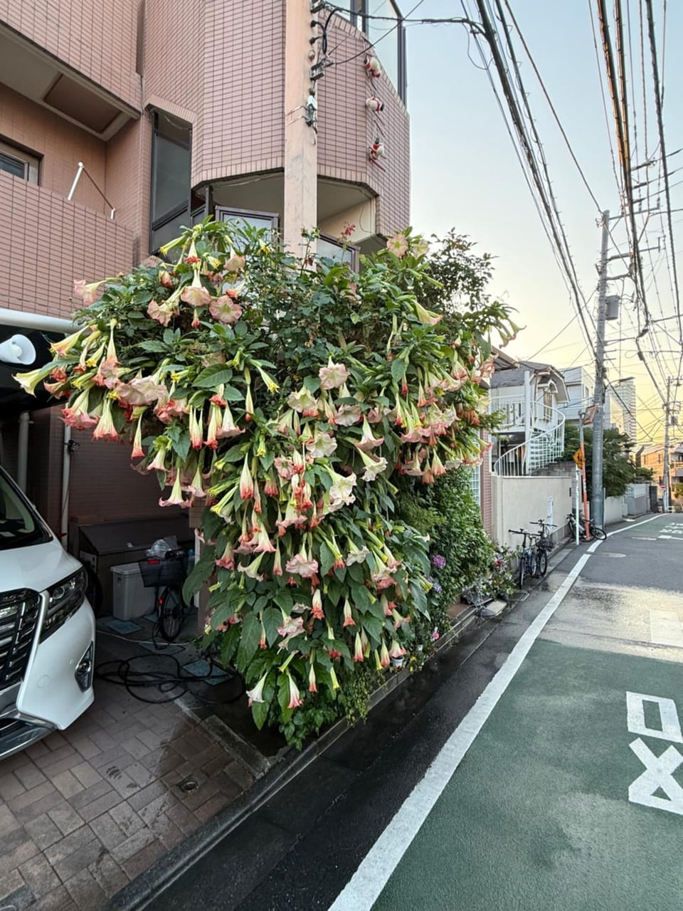 Quiet street view