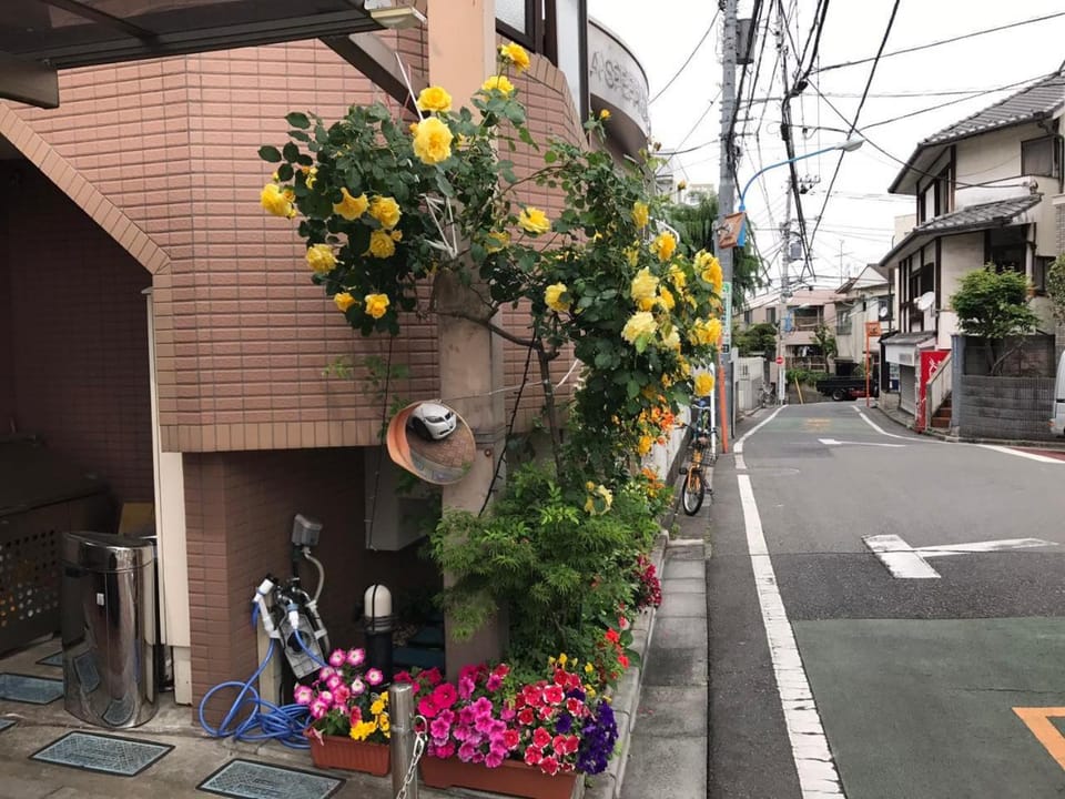 Property building, Spring, Day, Neighbourhood, Street view, Location, Quiet street view