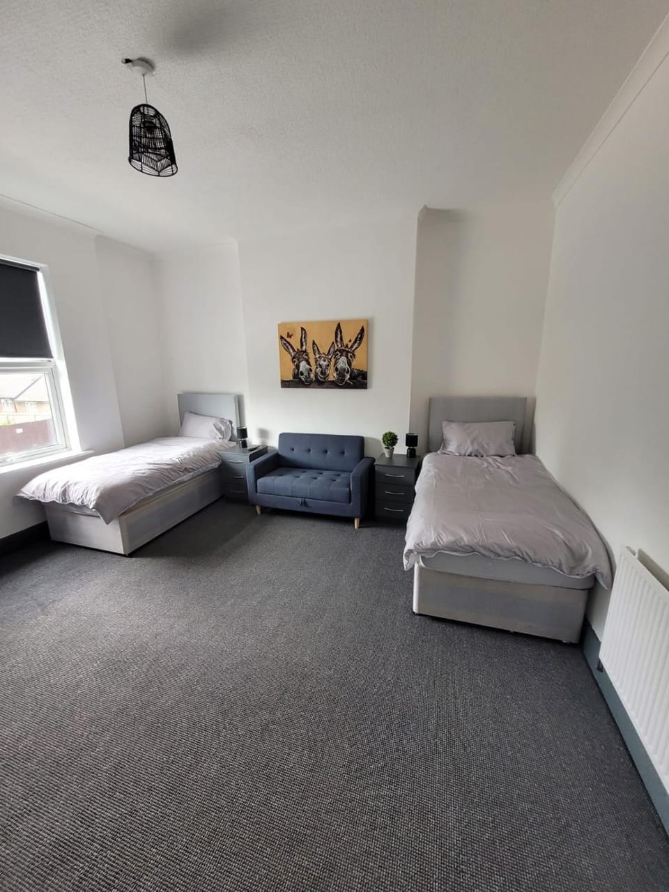 Bed, Photo of the whole room, Bedroom