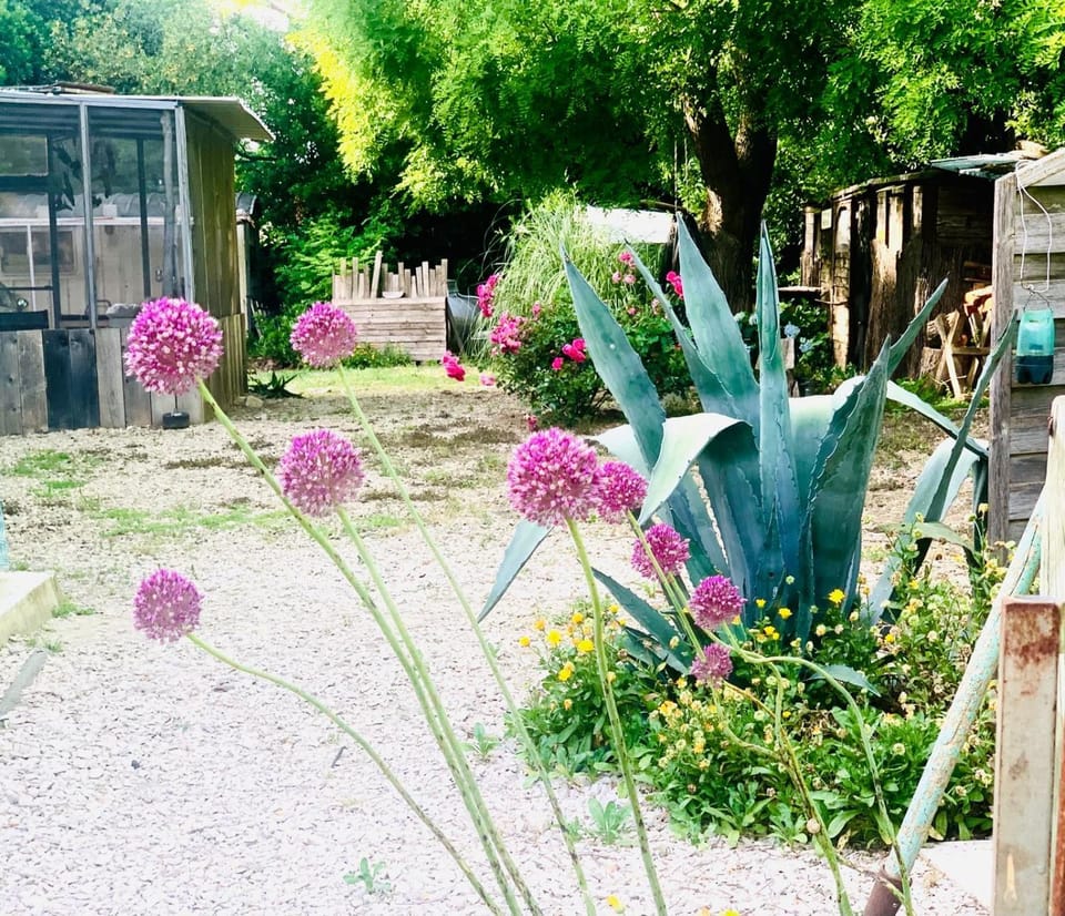 Ancienne Gare Vacation rental in Arles