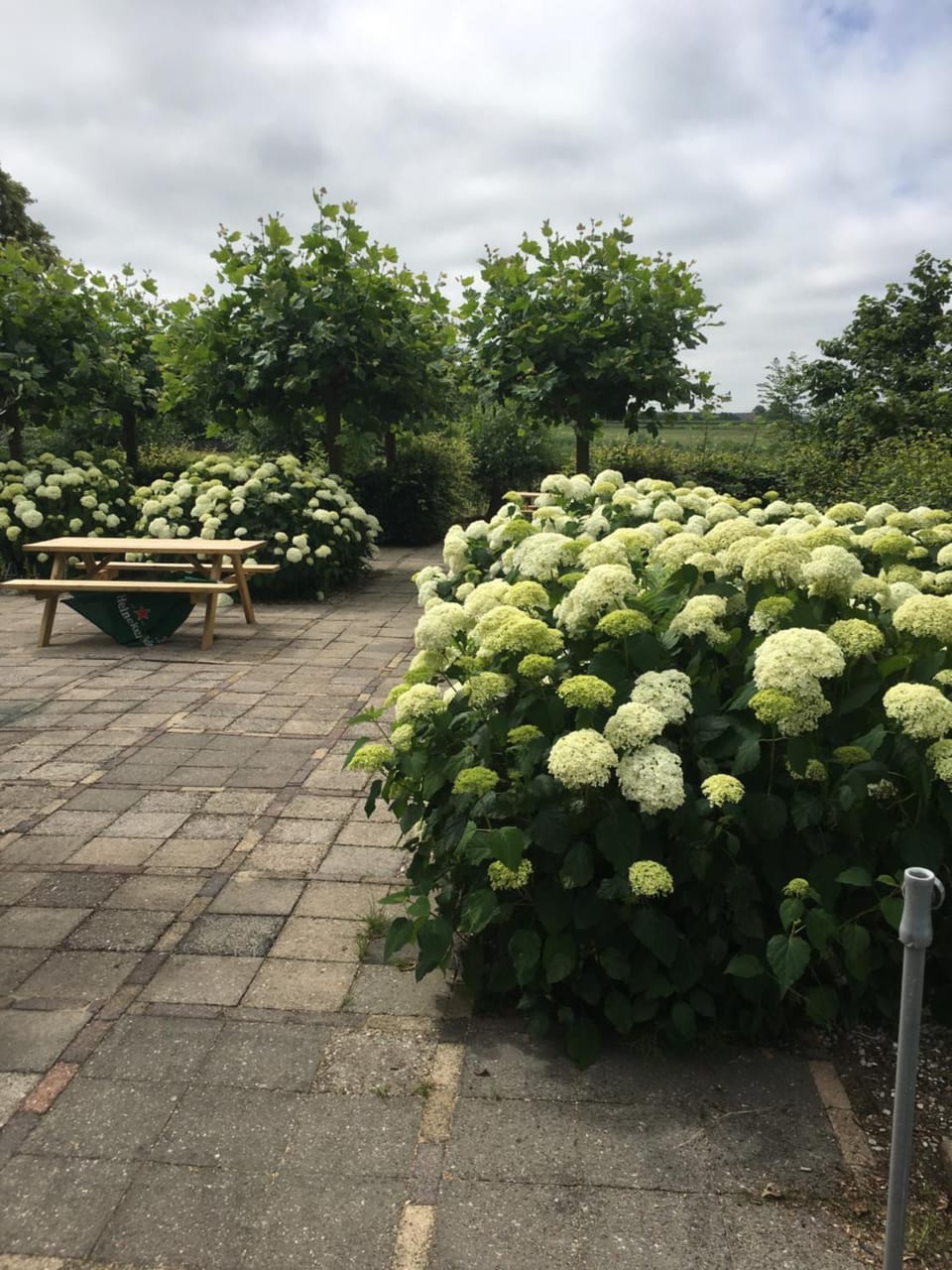 Garden, Garden view