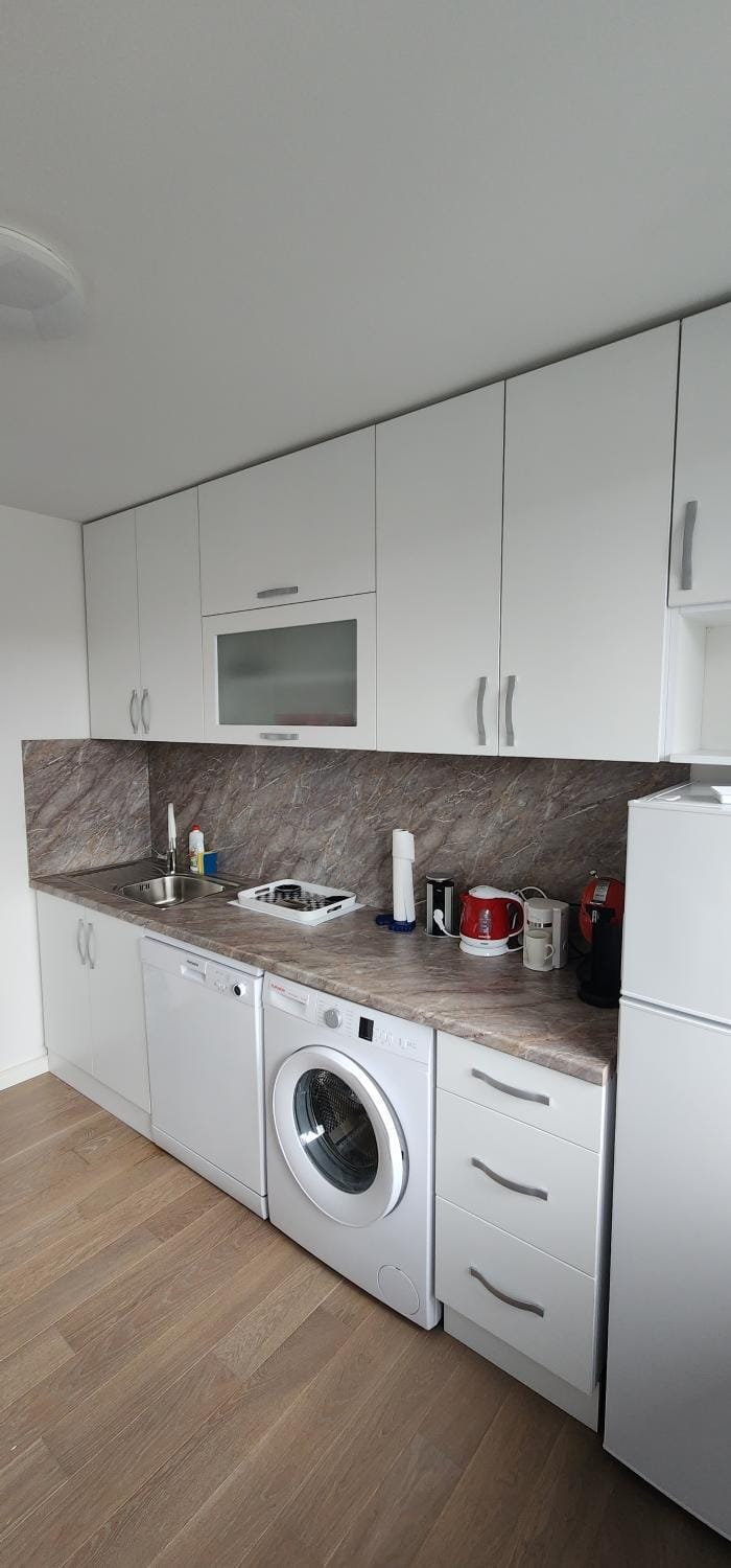 Kitchen or kitchenette, dishwasher, washing machine