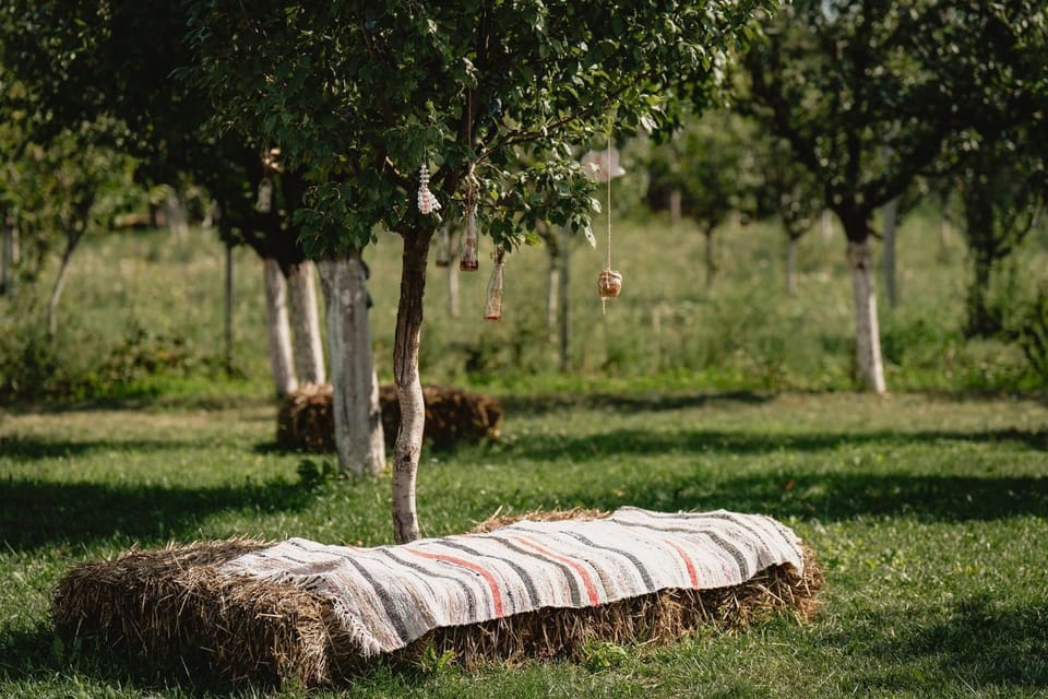 La 2 pruni Bed and Breakfast in Romania
