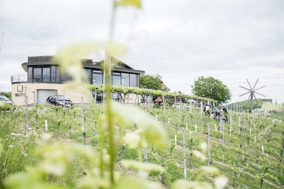 Property building, Natural landscape, Garden