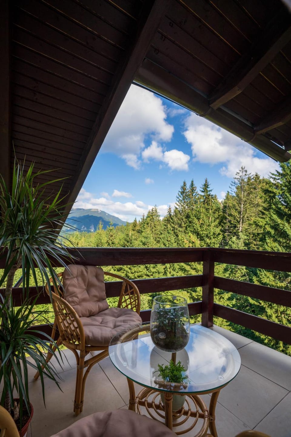 Love Luxury studio Apartment in Prahova, Romania