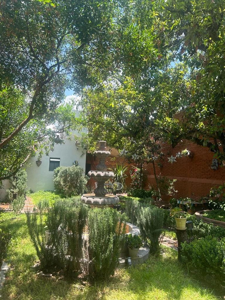 Garden, Garden view