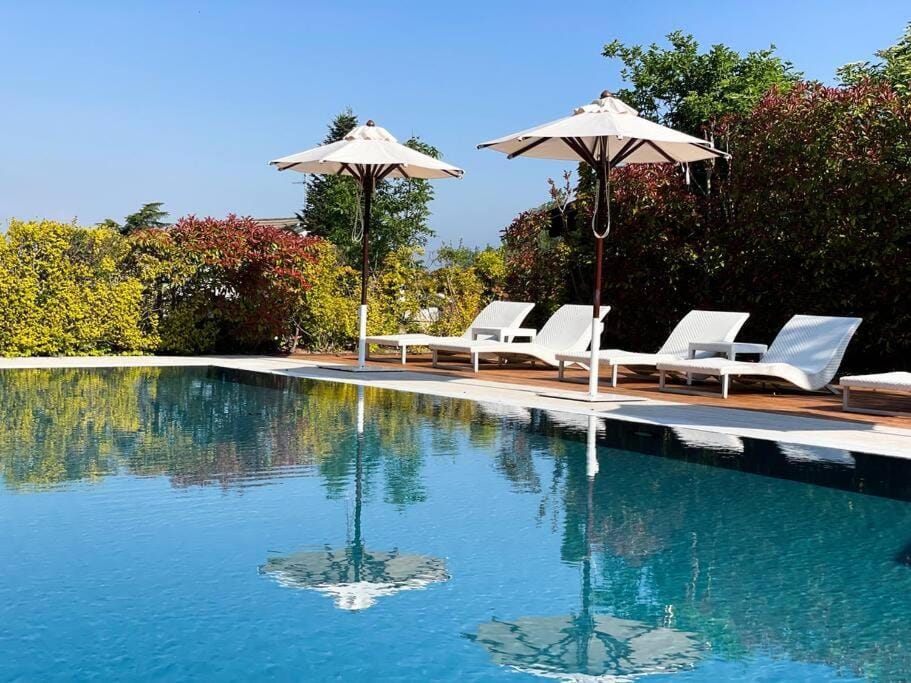Garden, Pool view, Swimming pool