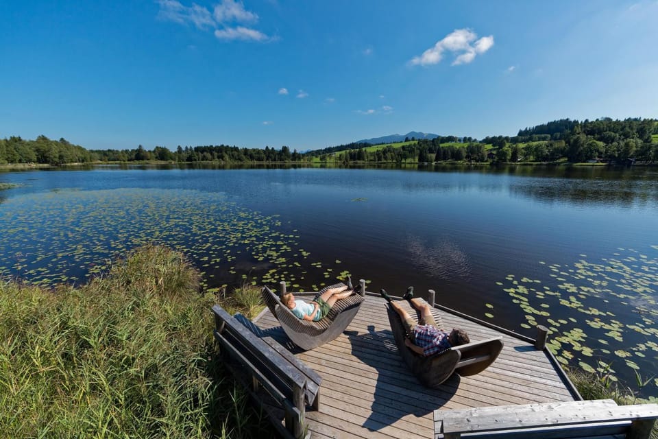 Lake view