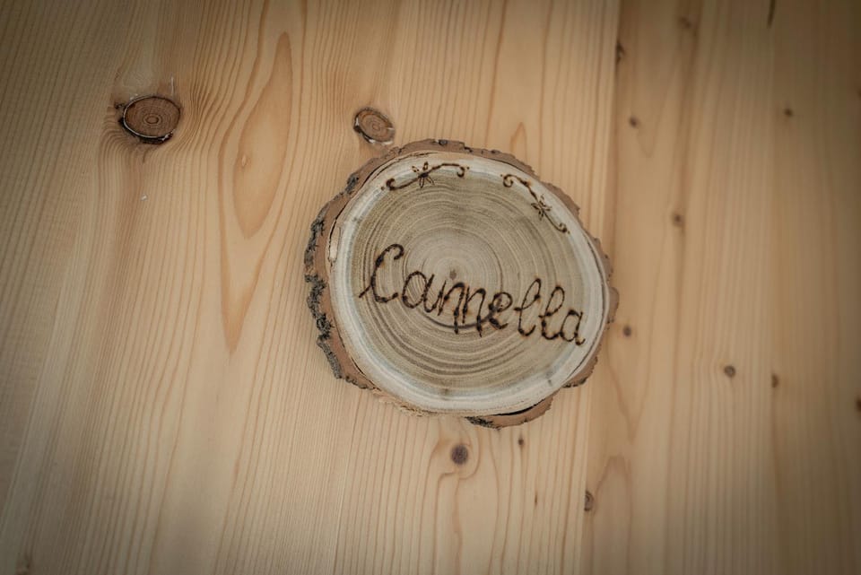 Logo/Certificate/Sign