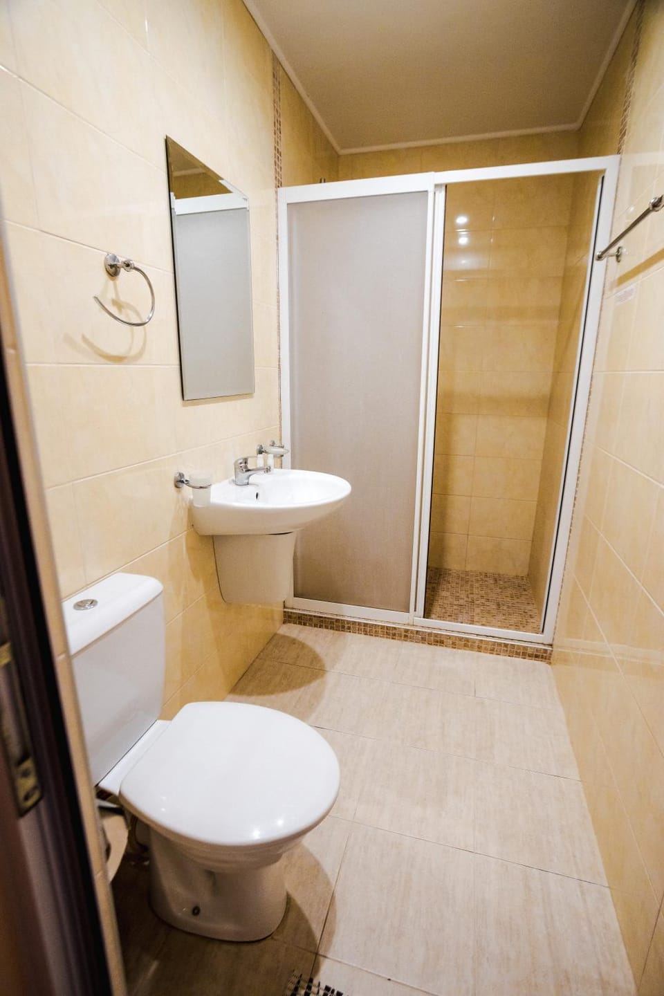 Shower, Toilet, Bathroom, bidet