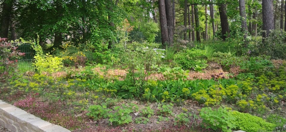 Maison Daubigny House in Fontainebleau