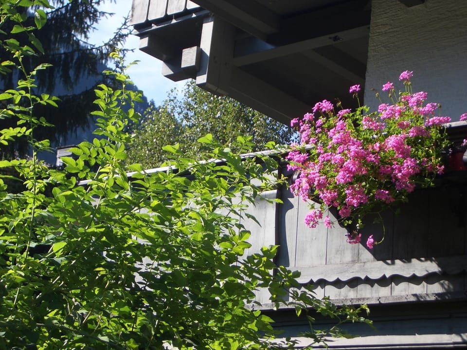 Meckyheim Apartment in Mayrhofen