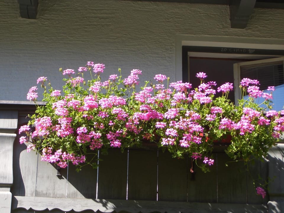 Meckyheim Apartment in Mayrhofen