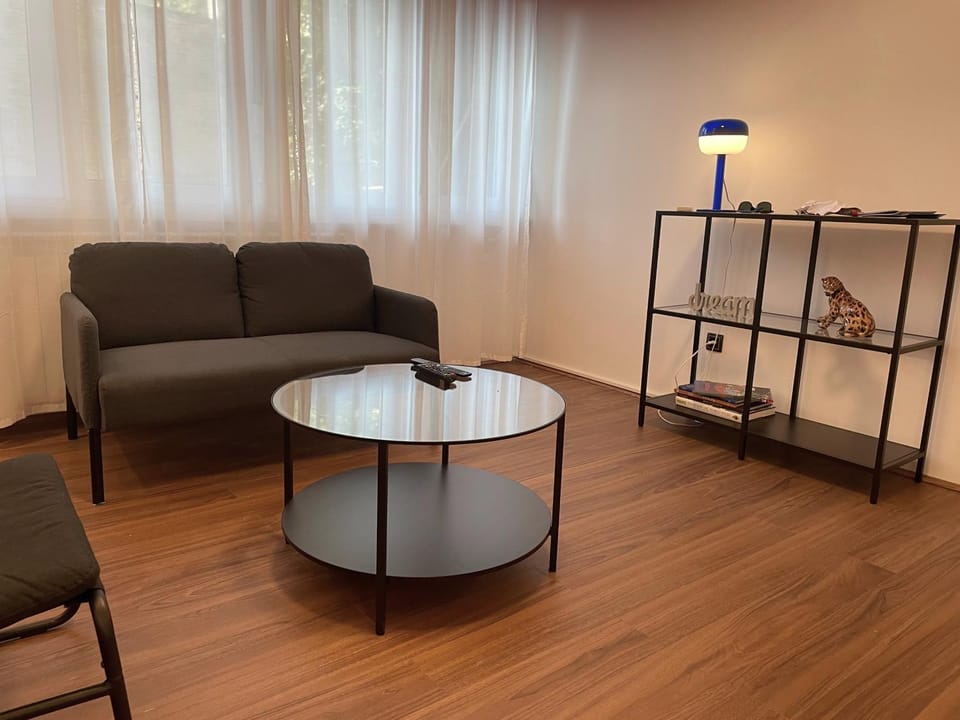 Comfortable and spacious apartment in one of Belgrade’s most exclusive neighbourhoods Apartment in Belgrade