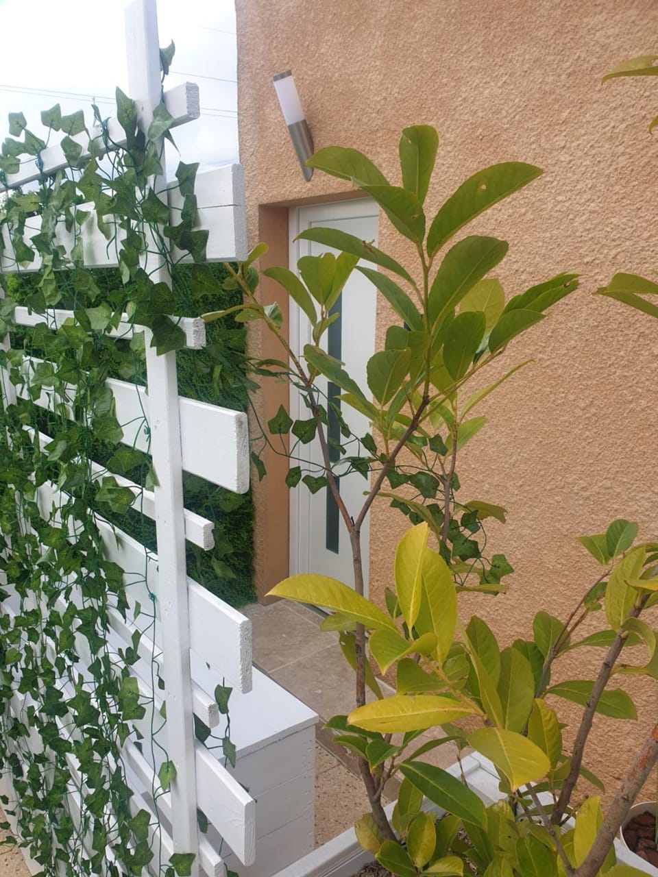 Garden view