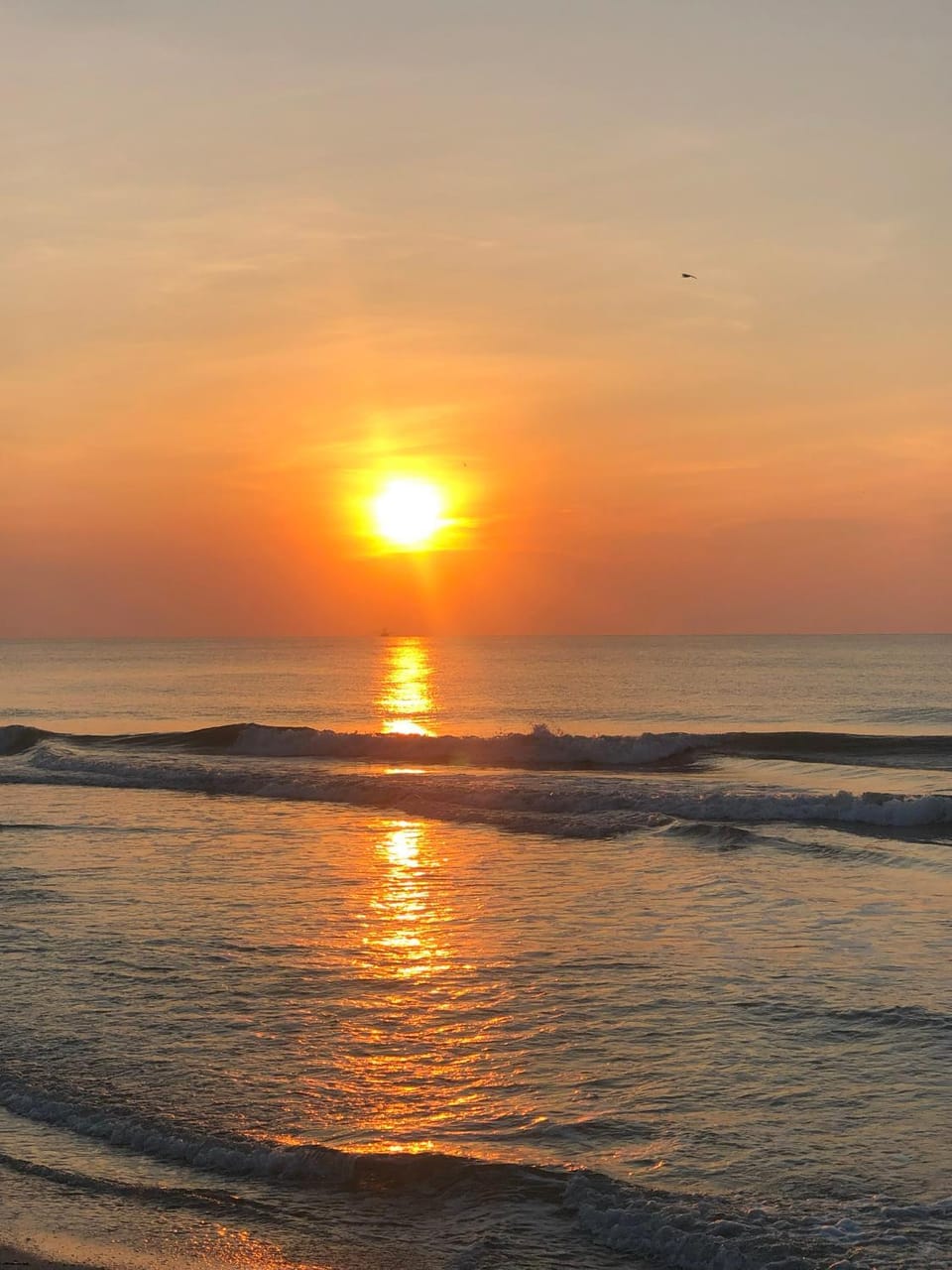 Natural landscape, Beach, Sea view, Sunrise