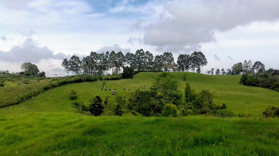 Natural landscape