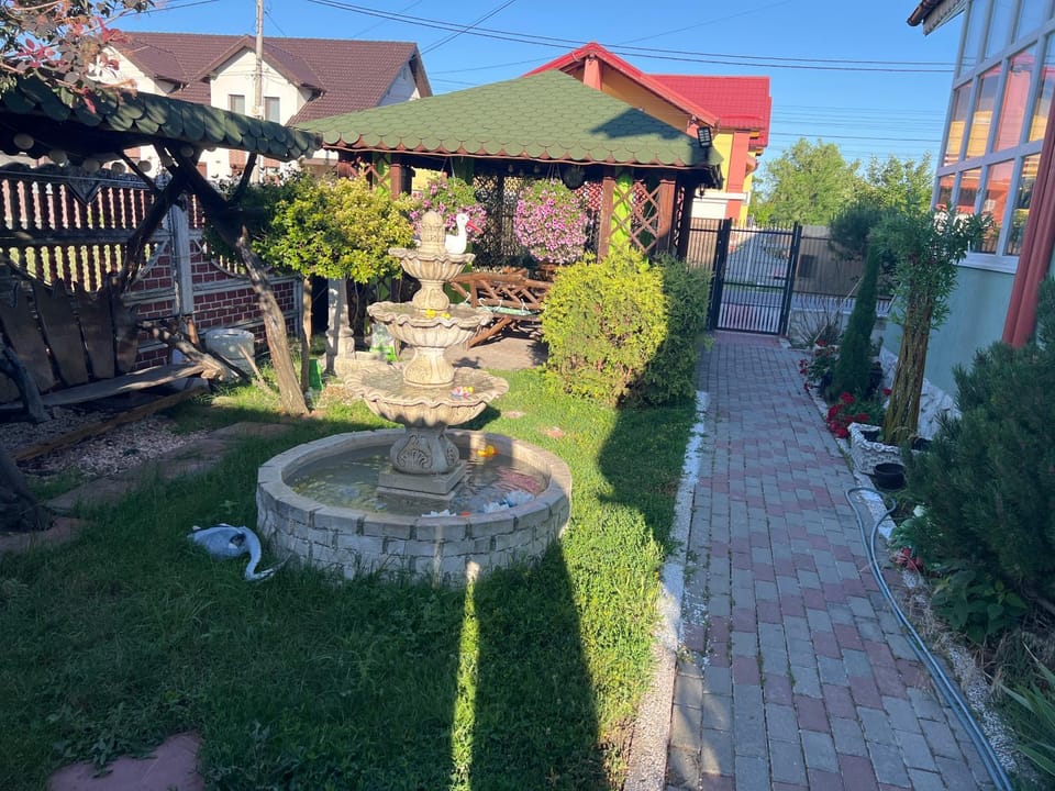Casa verde Villa in Timiș County