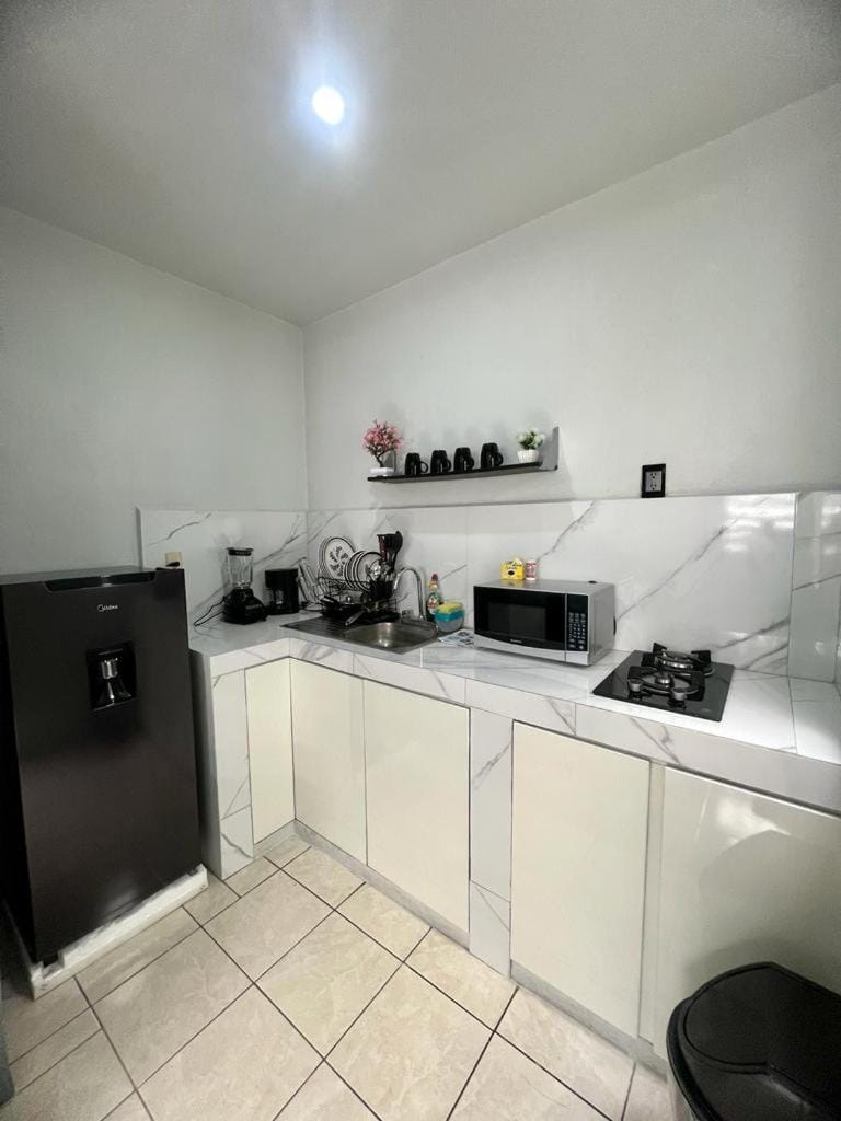Mercuri house Apartment in Guadalajara