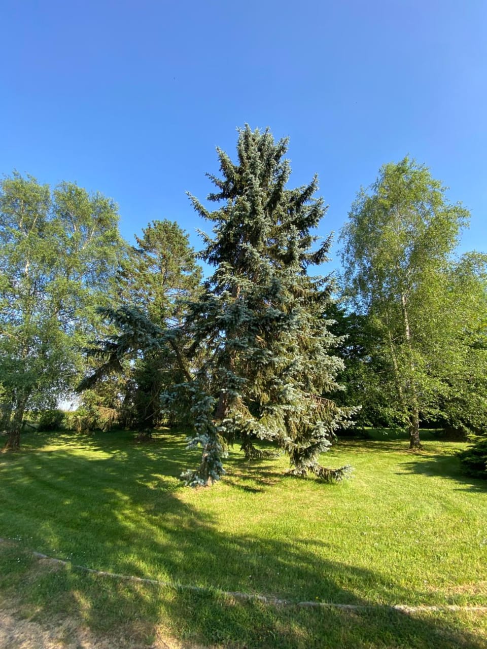 Garden, Garden view