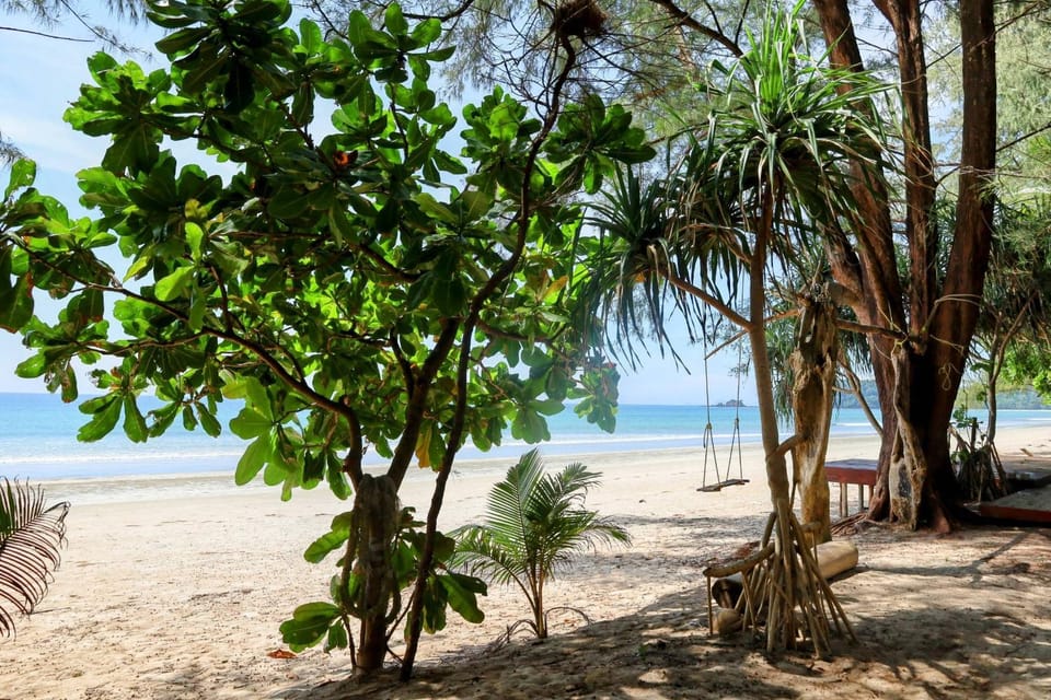 Day, Natural landscape, View (from property/room), Beach, Beach, Sea view