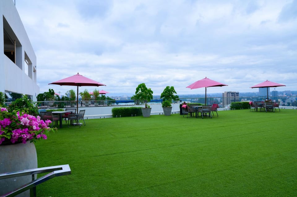 Garden view