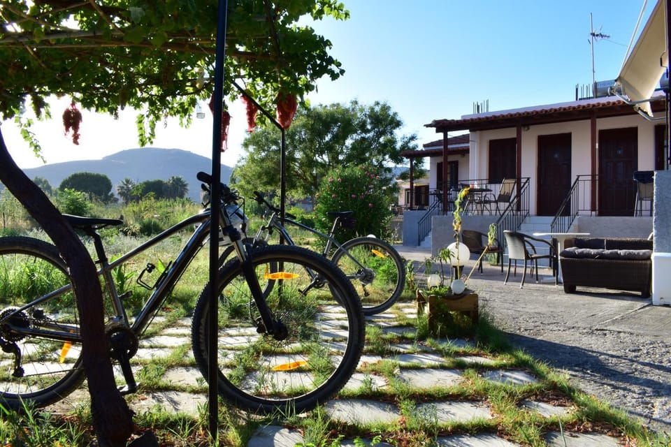 Property building, Spring, Day, Natural landscape, Garden, Cycling, Garden view