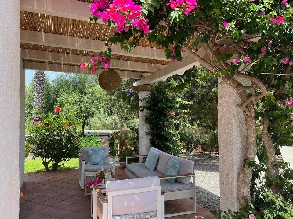 Patio, Garden view