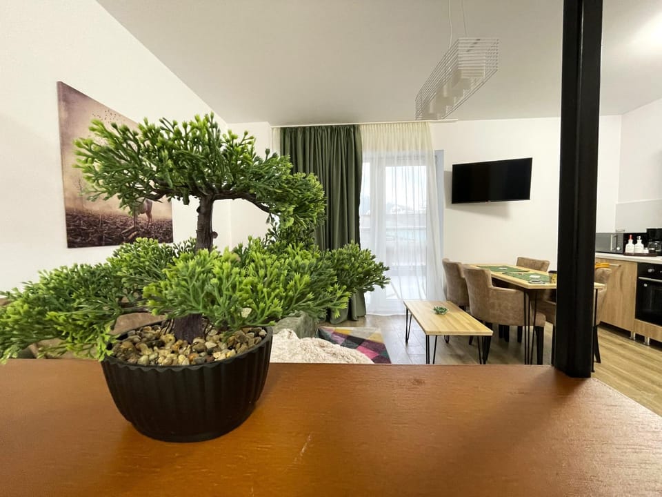 Communal lounge/ TV room, TV and multimedia, Kitchen or kitchenette, Decorative detail, Dining area, Evening entertainment