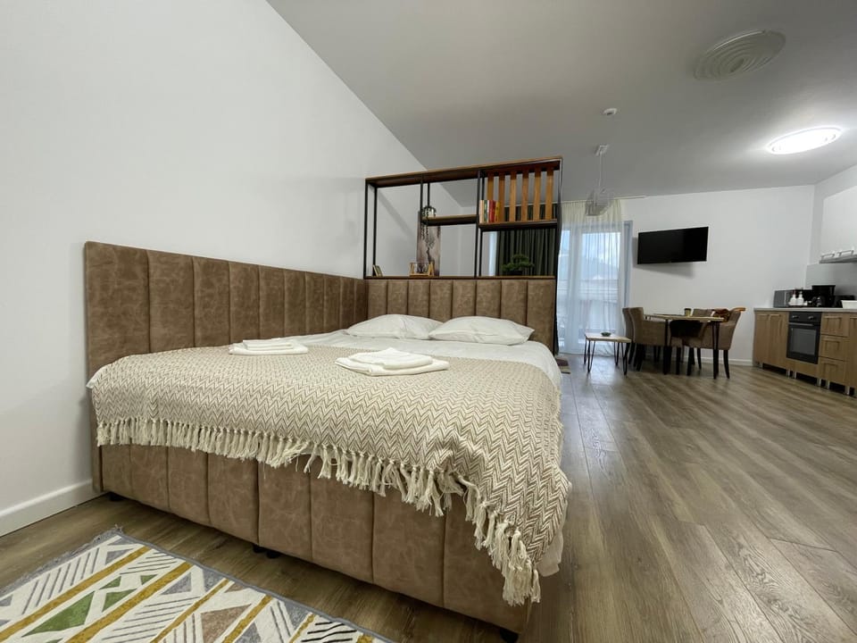 Bed, TV and multimedia, Kitchen or kitchenette, Photo of the whole room, Evening entertainment, Bedroom, hair dresser, minibar, towels