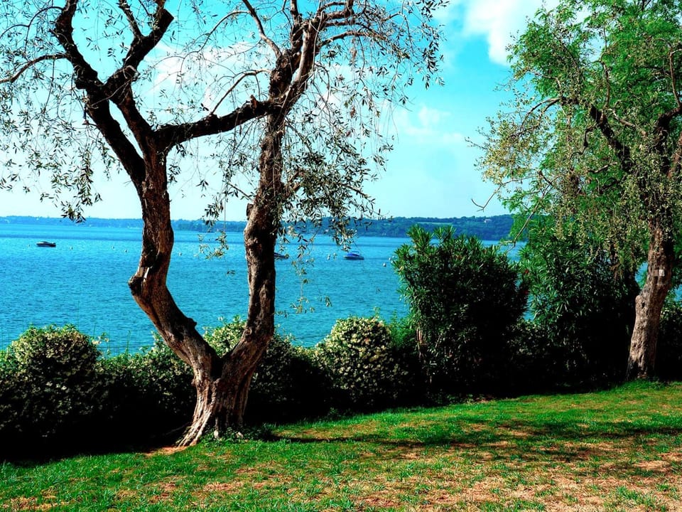 Garden, View (from property/room), View (from property/room), Beach