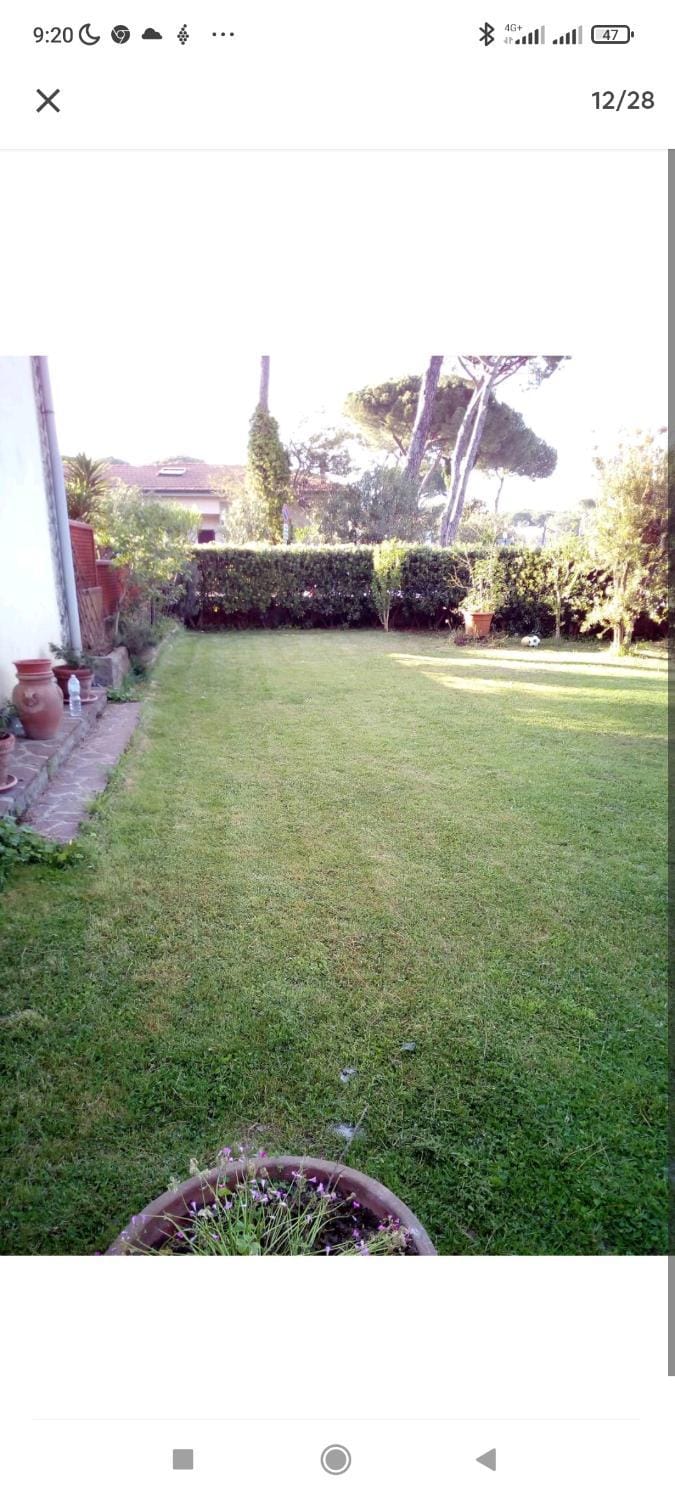 Property building, Garden