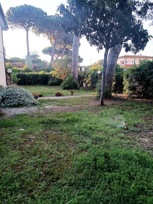 Garden, Garden, Garden view